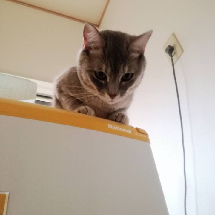 4e46ff6a ac57 4885 b3c8 24f234c50c92 1508117121468