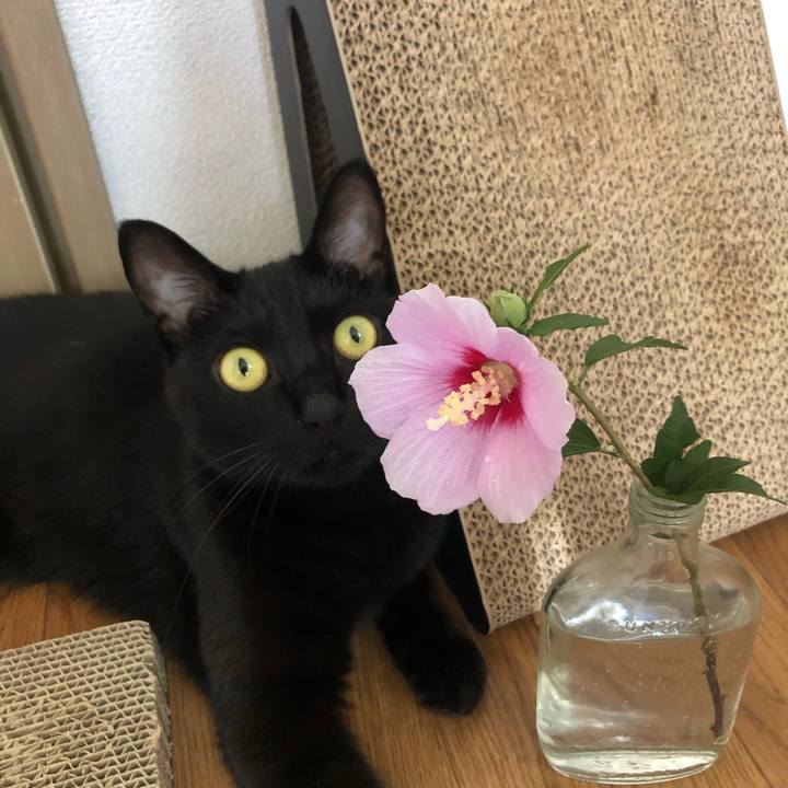 4e471861 696e 4cff 8566 94e08b120d9e 1623994734239