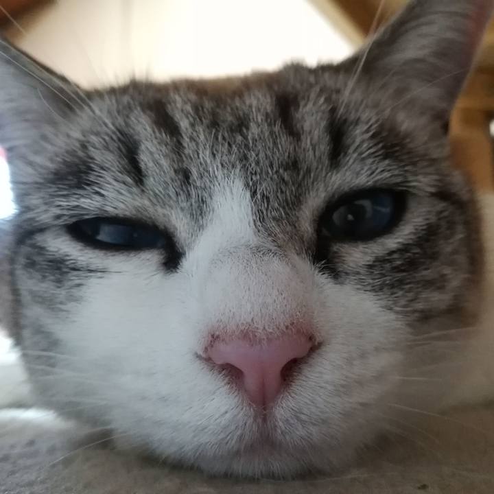 4e473c5a 353b 4c73 b5a4 5679773b6465 1549628095143