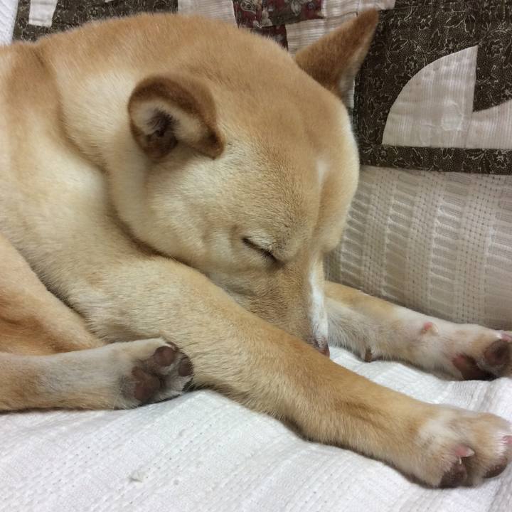 4e4763e4 6676 4272 bb6a 969e1920548f 1522676052427