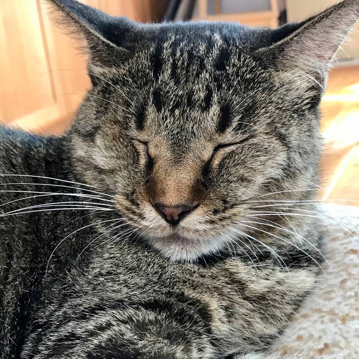 4e477abd b5b7 4852 aad1 68588c2271be 1600243008972