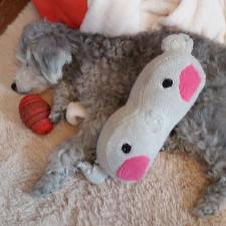 4e477c18 512a 4384 a1b2 5685c6872cba 1557485141187