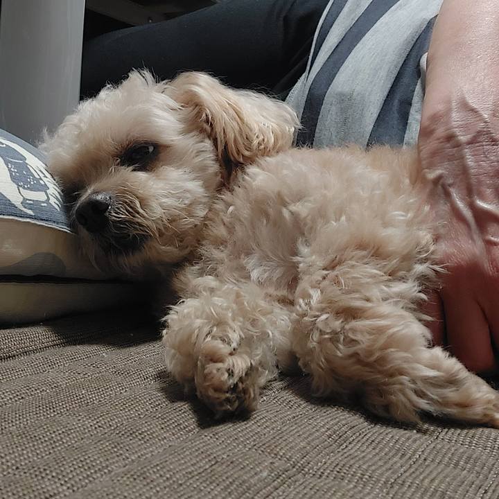 4e47acf7 32d5 44af abe3 7ed6f72a230f 1687690674778