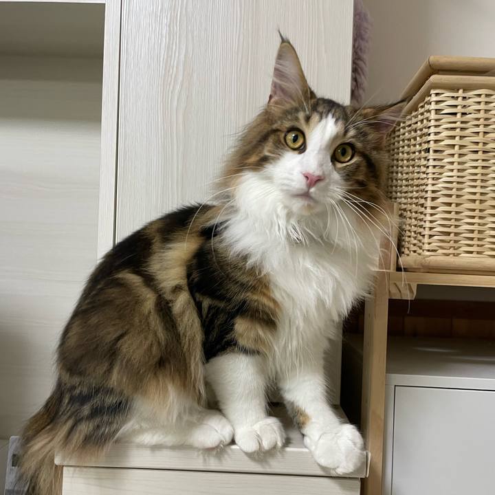 4e47ada4 43f7 4fd8 8bcd a6fb322fb11e 1640723578838