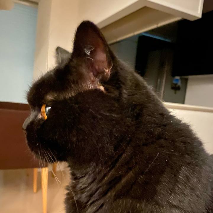 4e47aebf f920 469d 89d0 26b75fd40b2d 1689336653340