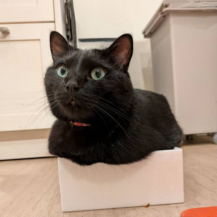 4e47af26 a0cd 43de 99c2 8c61198439ab 1762672657904