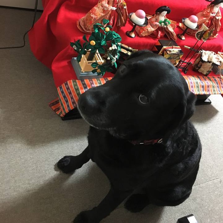 4e47ed78 0ecd 4eb6 8f8f 55436bdfac2d 1551571918921