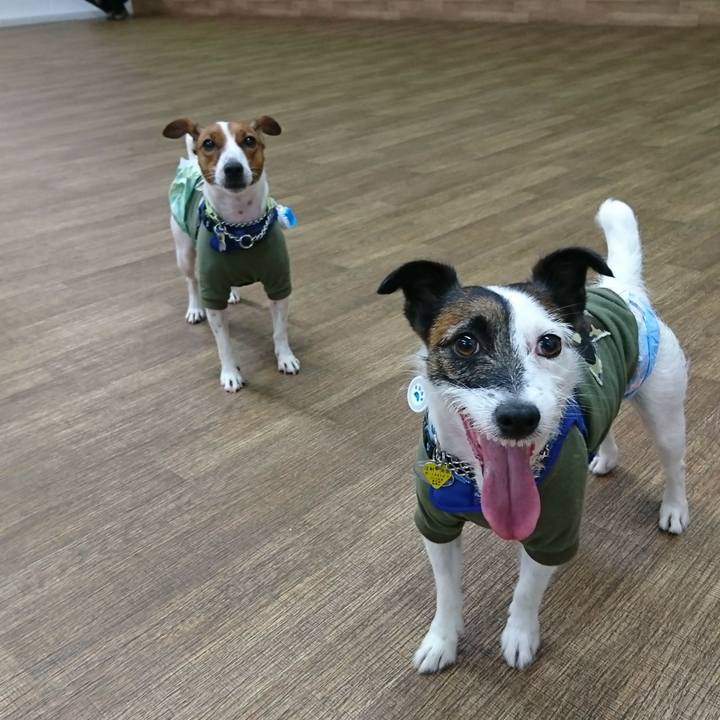 4e47ee40 e4e1 4e9a 92e9 a5f06d60d0b3 1561799818824