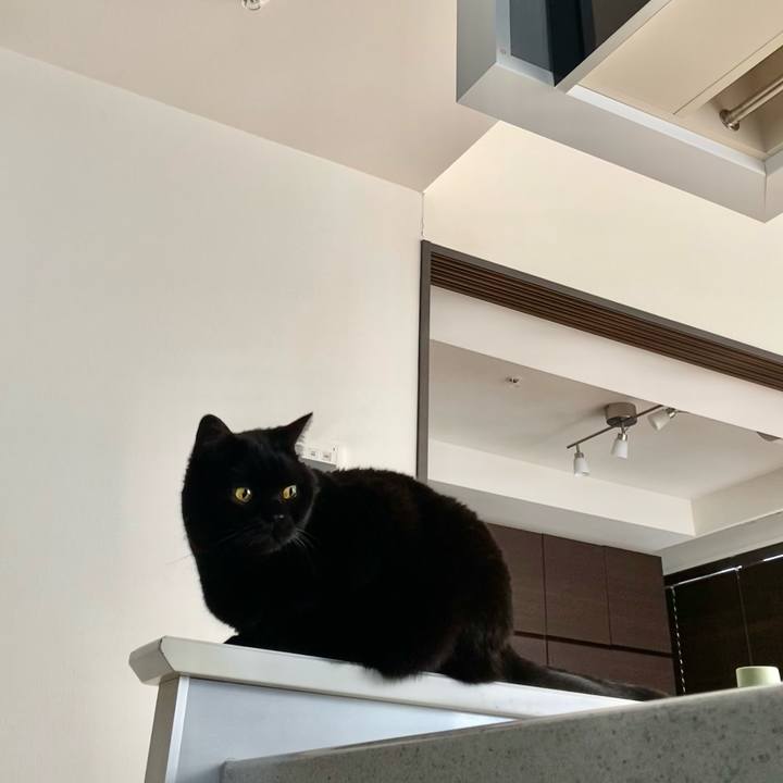 4e47f7bd 2f17 41ad 9893 b3b1588e6d4e 1716187962418