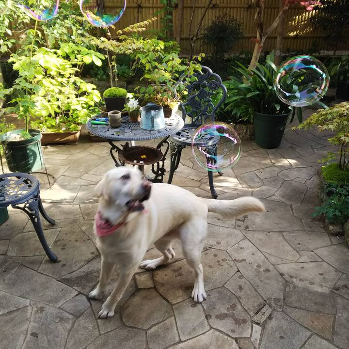 4e48180a 672d 4587 af7e f0118b8057d2 1523603542342