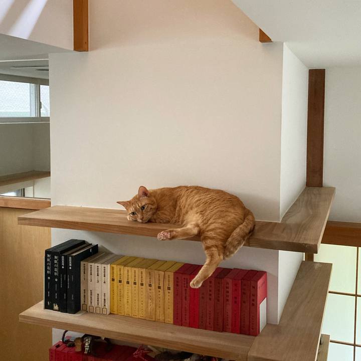 4e48475d 6a89 466c a3c5 8934dca74974 1692793978911