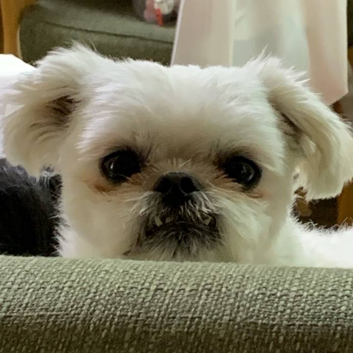 4e485b32 60e1 4f14 9545 03d780478cc4 1699790491947