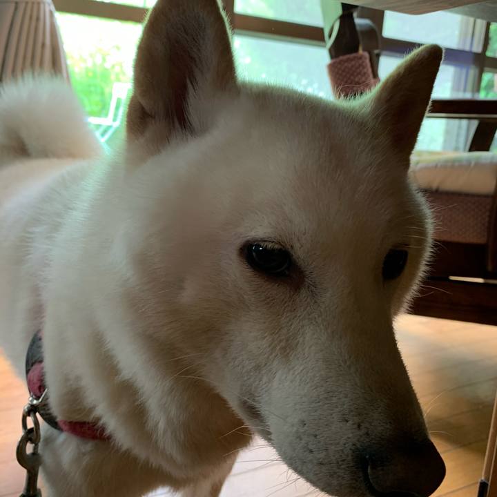 4e486852 5f98 4bf9 b001 d1fad6f234a1 1592619297913