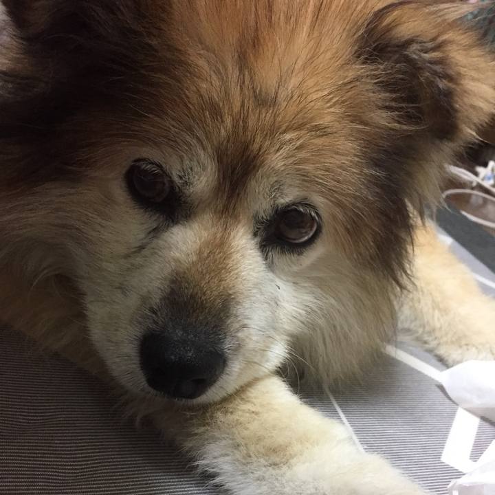 4e48700c 707e 4fcb 877d 8502659c944c 1593749249486