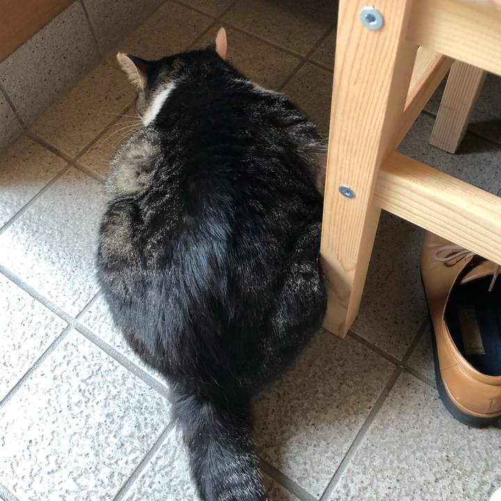 4e487d08 b8e2 4578 a881 69b8dca6922a 1531298522252