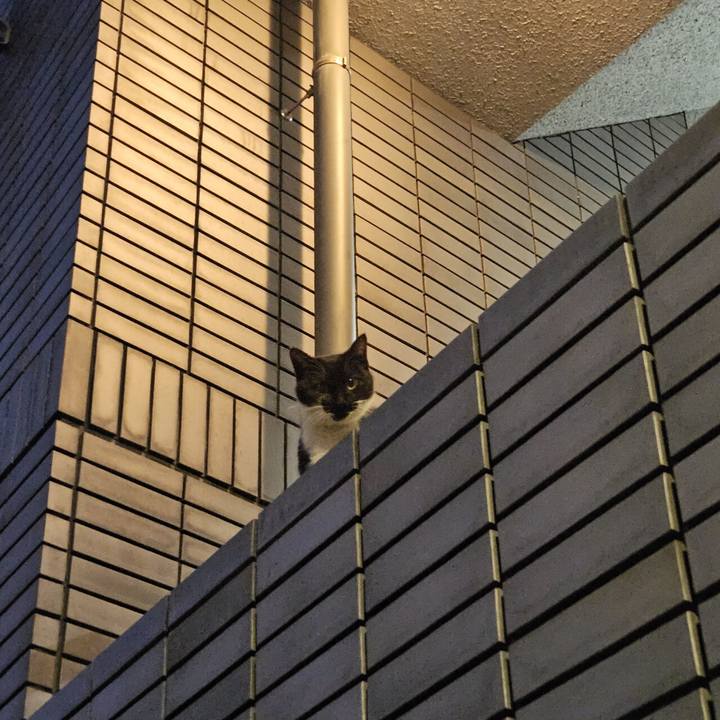 4e488094 2db7 4d10 810e 130baf3fe3e1 1703927819235