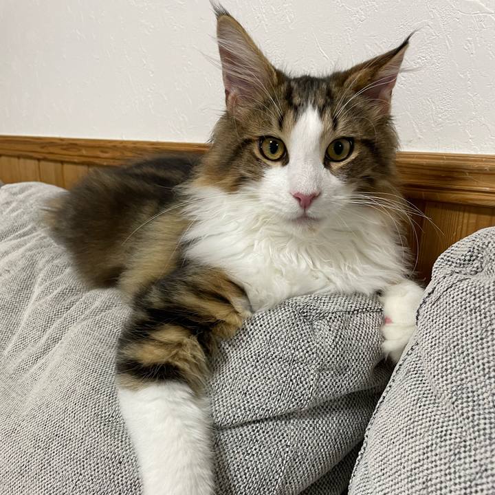 4e48a5f0 b968 423a ba7f 70cabb032a64 1637573418219