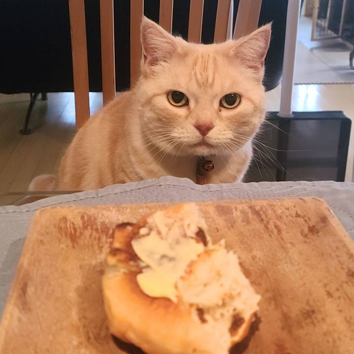 4e48adbf 56af 4600 a16b 35f48be5d24e 1713777237265