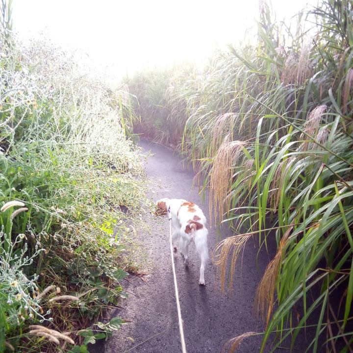 4e48b220 3d2d 4935 b646 737e959c3e87 1510489609632