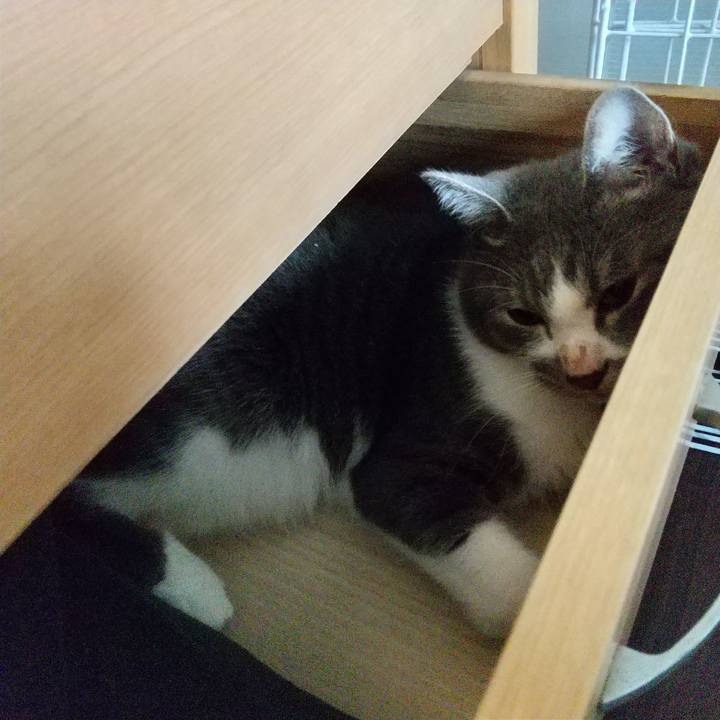 4e48cf66 e976 4c47 97c4 bbba6c61cf65 1601167330042