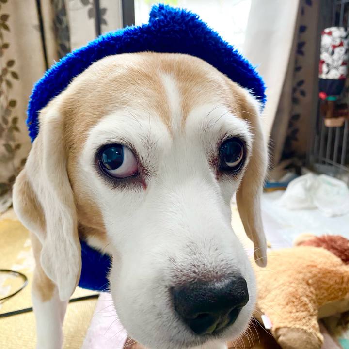 4e48e9cd e878 488d a56a 4b9b4dce8a8f 1607141505706