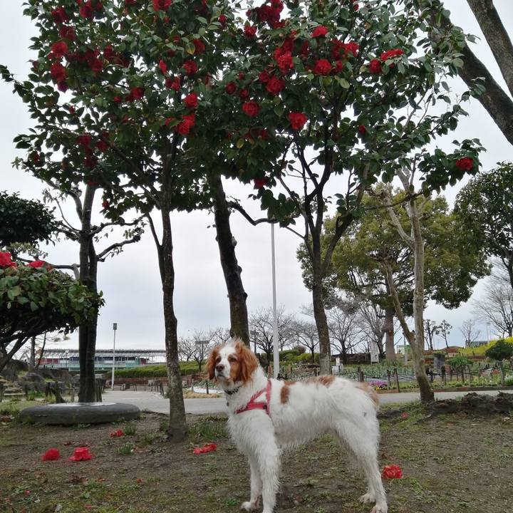 4e48f157 2a98 4a67 a646 153de7f1f1e5 1614942937934