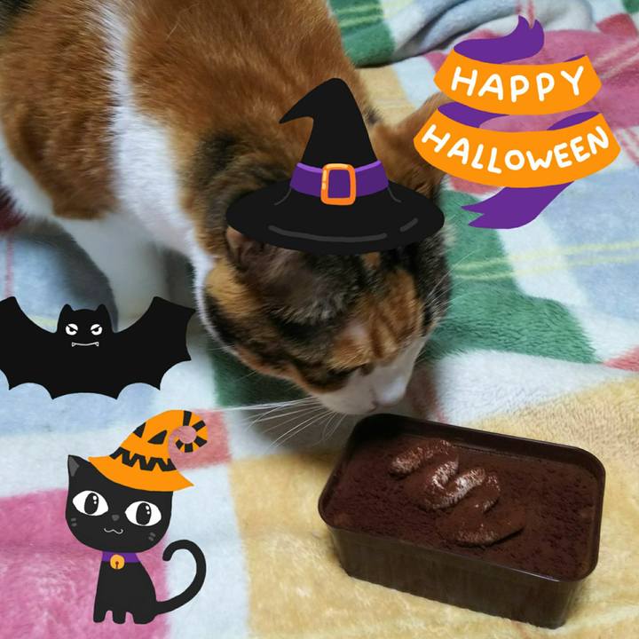 4e4930ab 1f54 4973 ba72 9ecf34561053 1540981707644