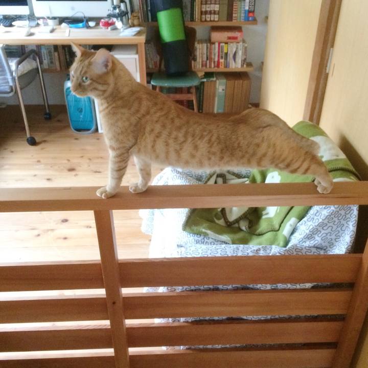 4e493a1a 8881 4ebb ba60 443f163c2bd4 1519346761577