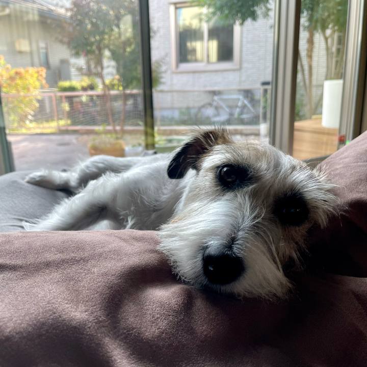 4e493c60 031c 4e7c 8968 dfce5d9283c3 1666939530991