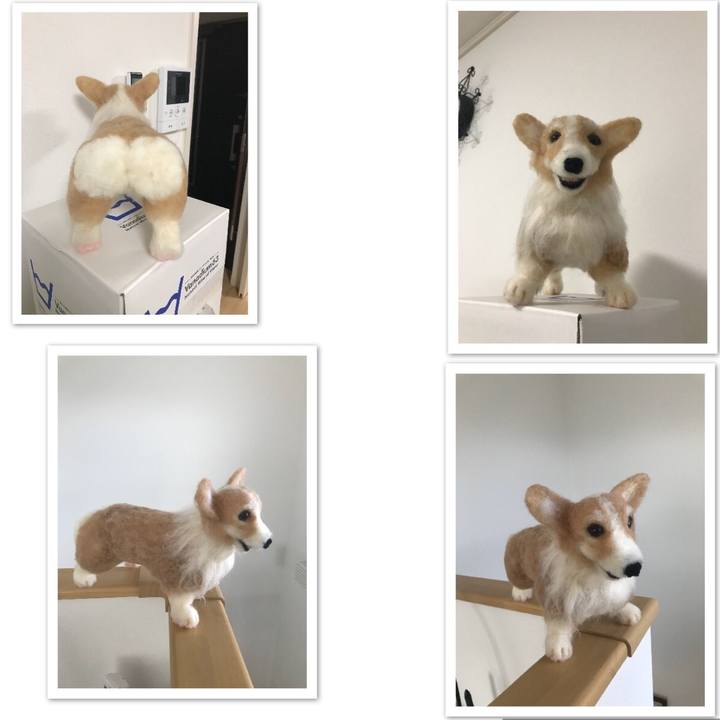 4e496d23 91fd 475a b39f a5184c5ad96e 1518917402720