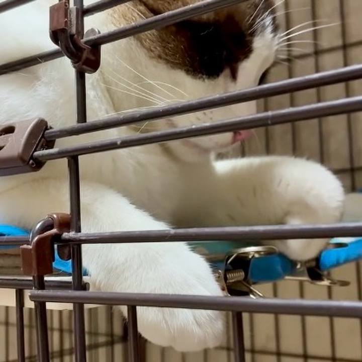 4e4990ae 4c9f 4b67 b477 1cfae6ab8864 1754649061341