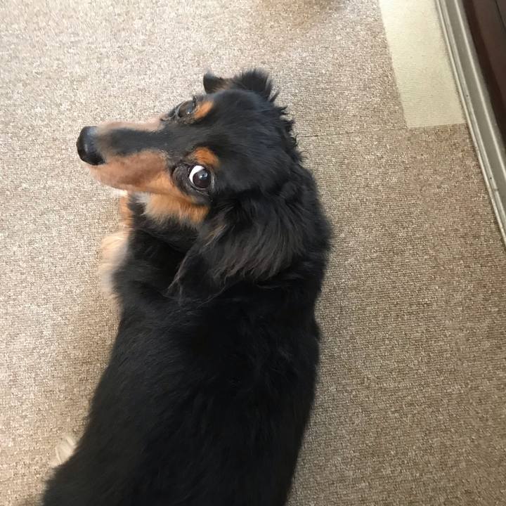 4e4994ac 0d2b 497d bc50 c1654dc67ad7 1539814191898