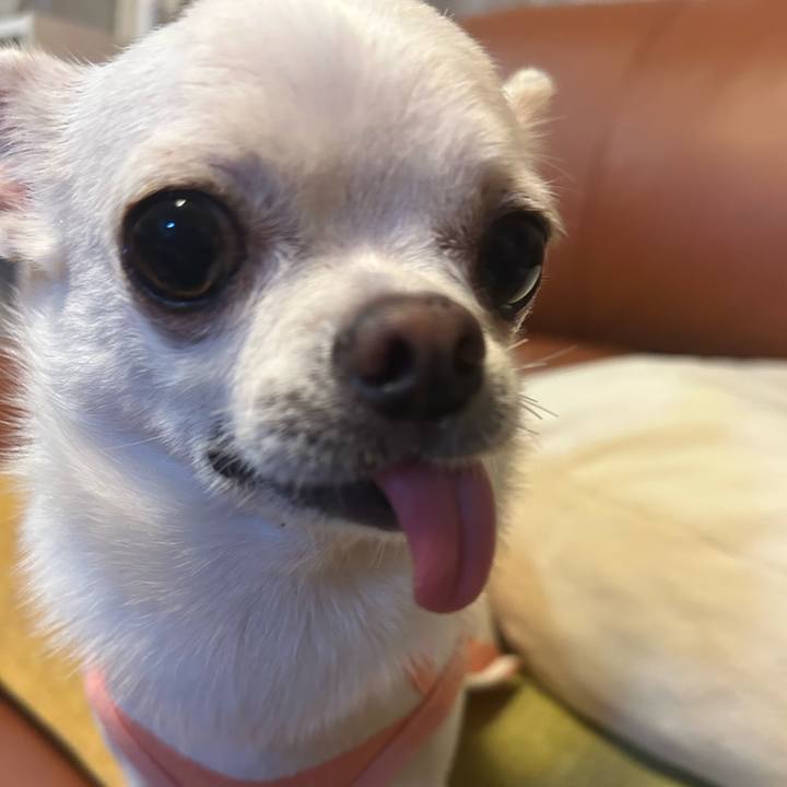 4e49985e 9740 4b2e 82e8 4ea1730cab97 1757847886768