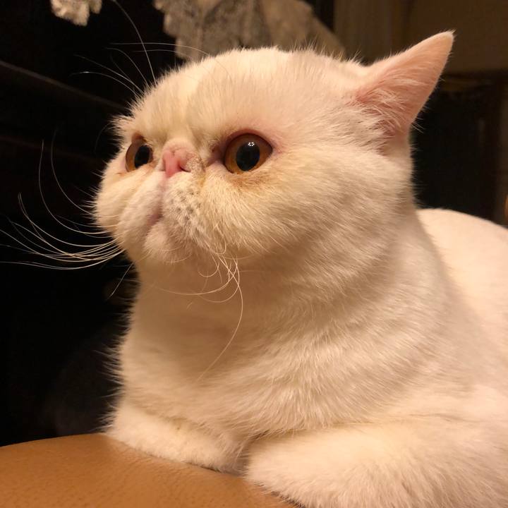 4e49c897 a1d2 439f ba3c a8c601ef4324 1605177792778