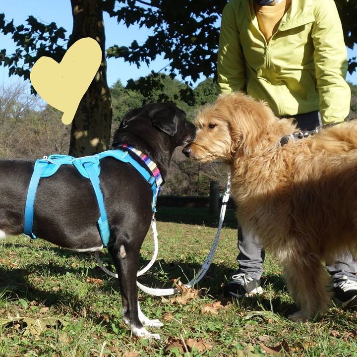 4e49e89d c1b8 4704 8d5d fe2f97377776 1635036026703