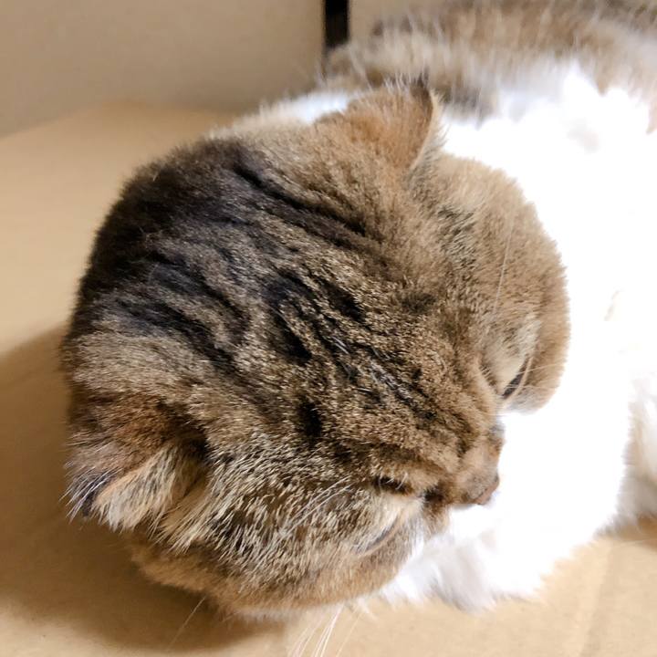 4e4a64e7 ec15 47e9 b2da e88c582a83bb 1600950454045