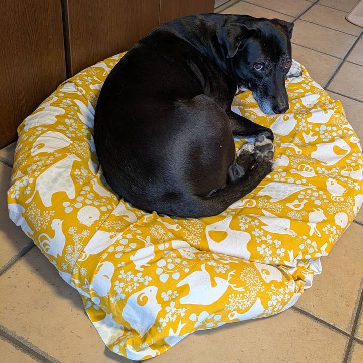 4e4a6b2a cc34 4044 bf1a 9c9ded6b6197 1737417837085