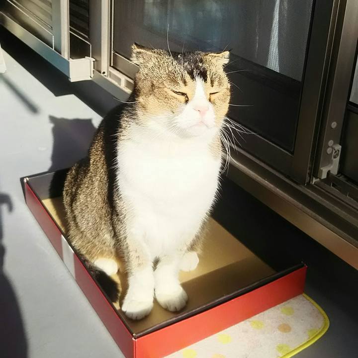 4e4a8219 943f 4691 9a0a 466c1f99af1b 1545024232493