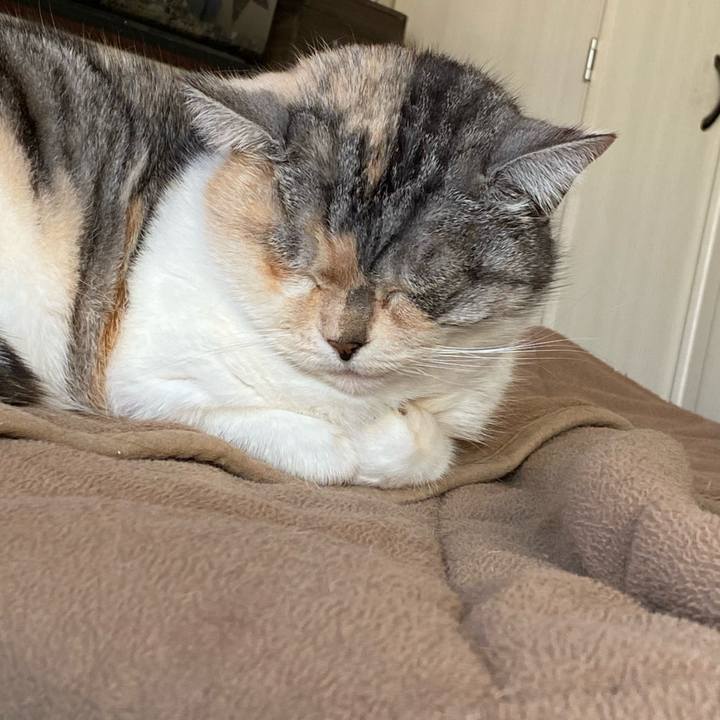 4e4a948e da04 412f b166 de9829bd3346 1612266714738