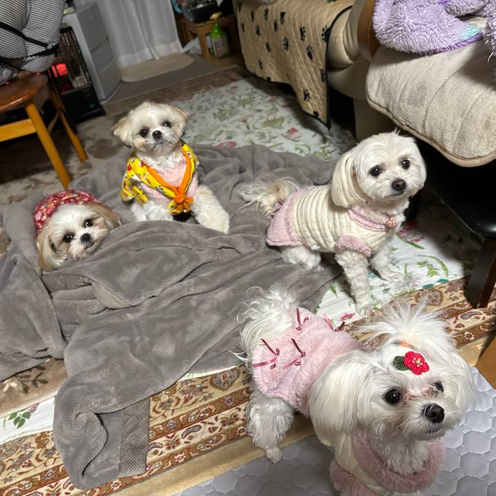 4e4a97e7 0a5e 4492 8a1f a80691f0c3a6 1738324670172