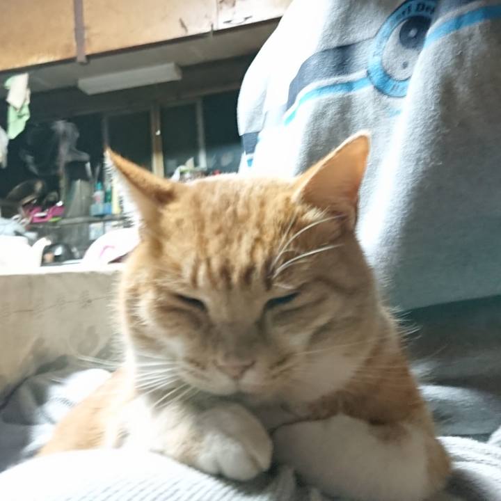 4e4abd08 a6e5 421e bec4 5da6c5fc13ff 1606765776611