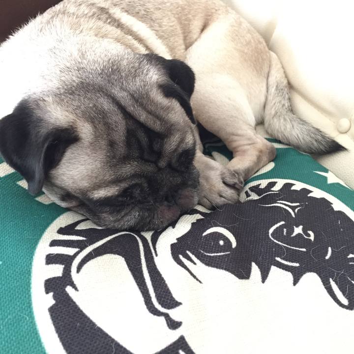 4e4acad6 3342 4220 b5bc 317740e7e8cc 1540554307618