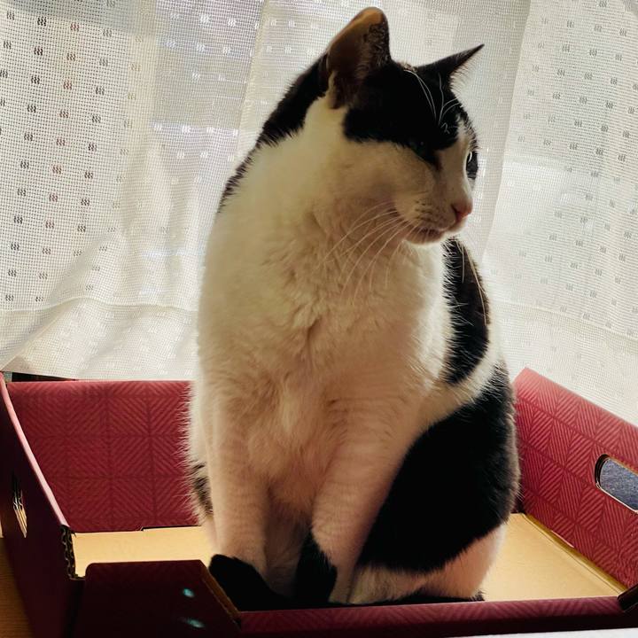 4e4b2318 14ba 44f7 8101 adb330ceb17b 1615343173322