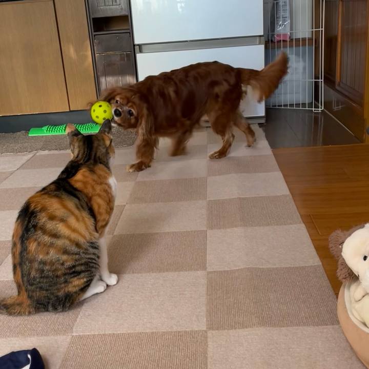 4e4b3431 5d06 4618 82e0 33f76391d4c6 1666737203471