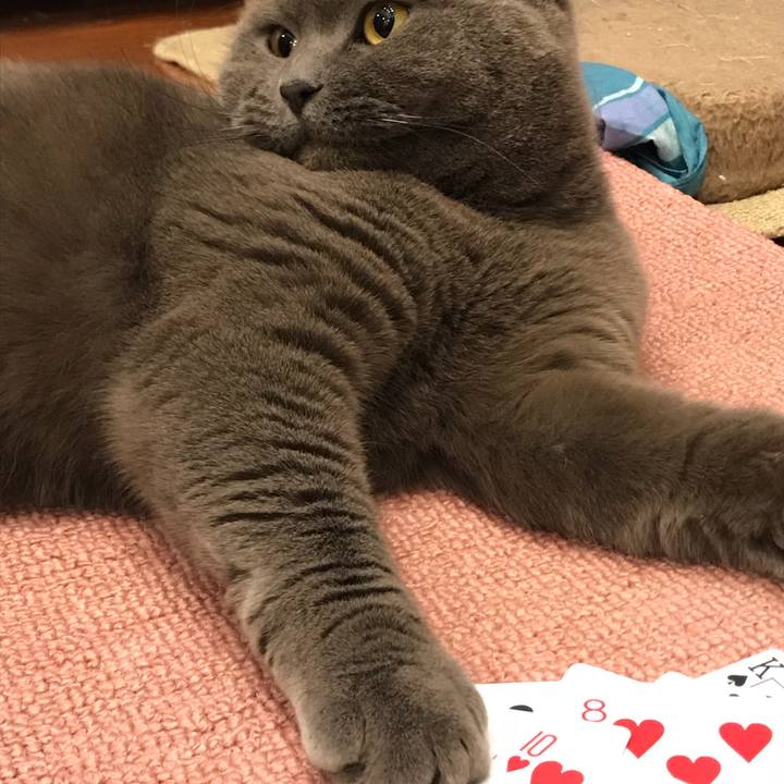 4e4b4fa3 d93a 498d b851 afb36ded0e8b 1514549556537