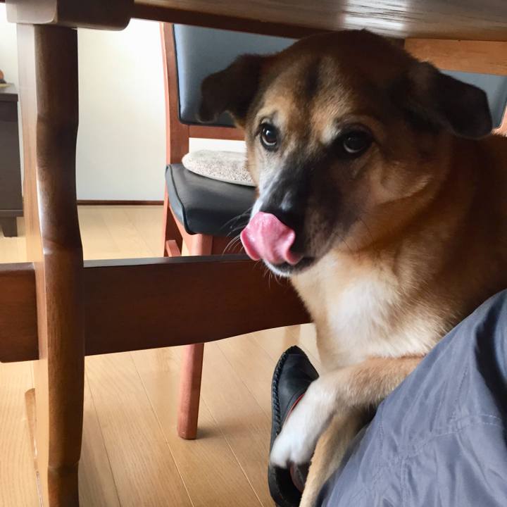 4e4b6e24 0c88 4fc5 98fc 30d19f21e1ca 1515747600759