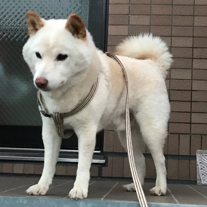 4e4b8b05 a9de 40e4 ada5 0ede50f02a9f 1634188661203