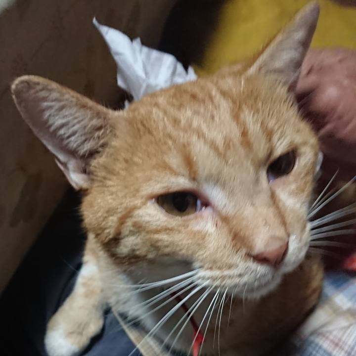 4e4b9127 b0ef 4109 a4f2 23dc9d4cae60 1570479786444