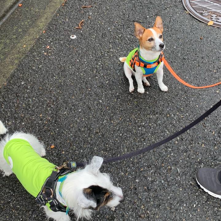 4e4ba878 c7b1 4dbc b1bd a83a3de31029 1634608258129