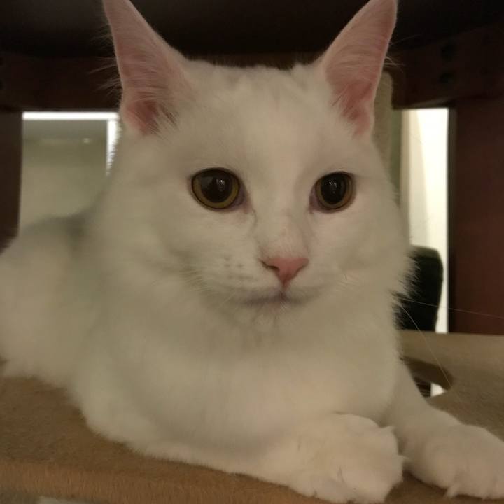 4e4bcb01 6e52 48f4 9458 c3e573d86c85 1518351411279